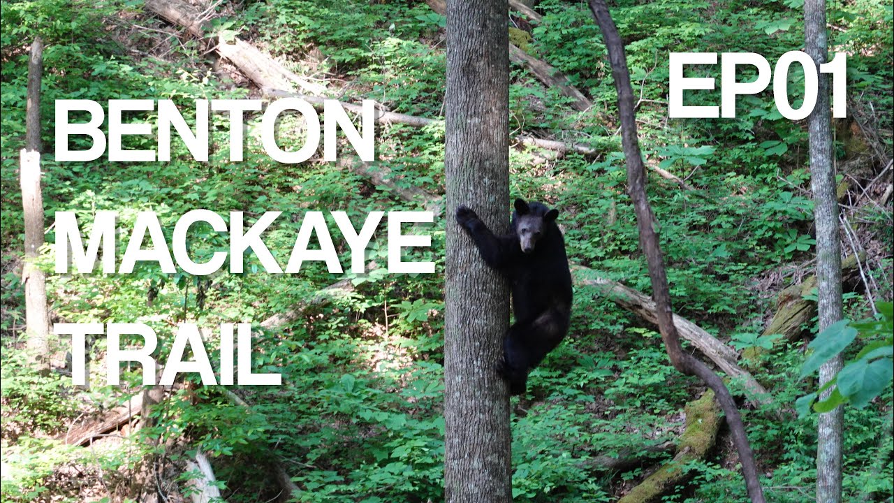 Benton MacKaye Trail EP01 || Życie na amerykańskim szlaku - niedźwiedzie przede mną uciekają!
