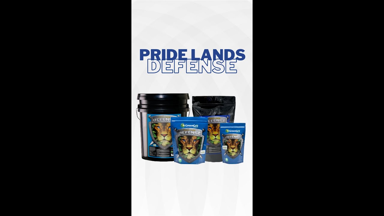 When is the best time to use our Pride Lands Defense?