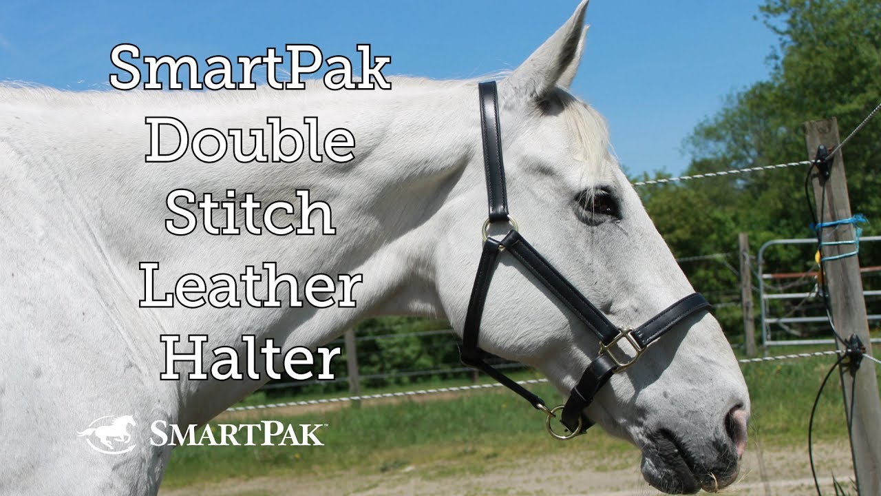 SmartPak Double Stitch Leather Halter Review