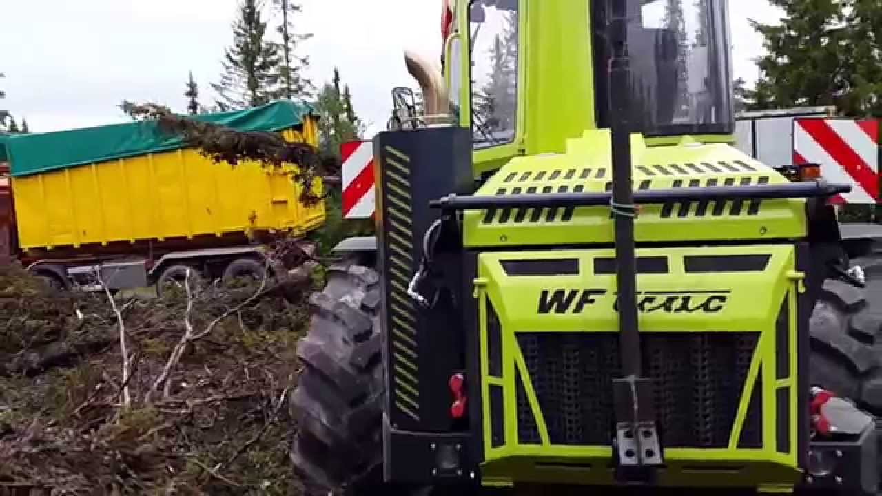 Flising av fjellgran 2
