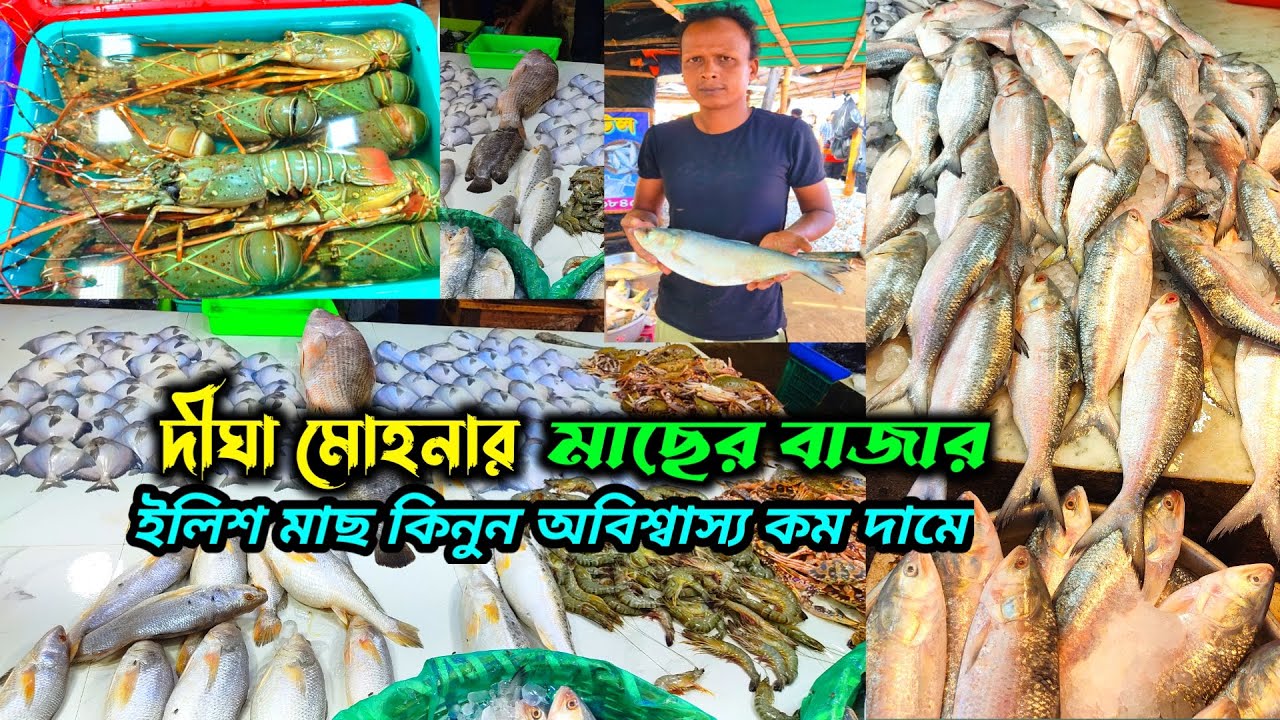 Digha Fish Market 2024 / Fish Market Digha Mohona / Digha Wholesale Fish Market 🐠
