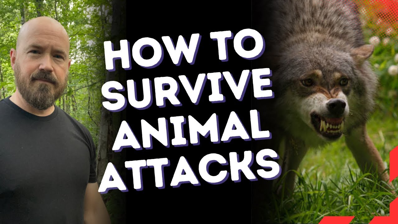 How to Survive Animal Attacks 
