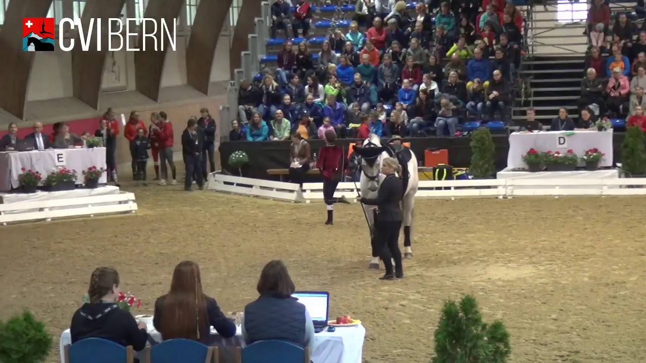 CVI Bern 2019 - Individual Junior CVIJ2* - Freestyle 2nd Round