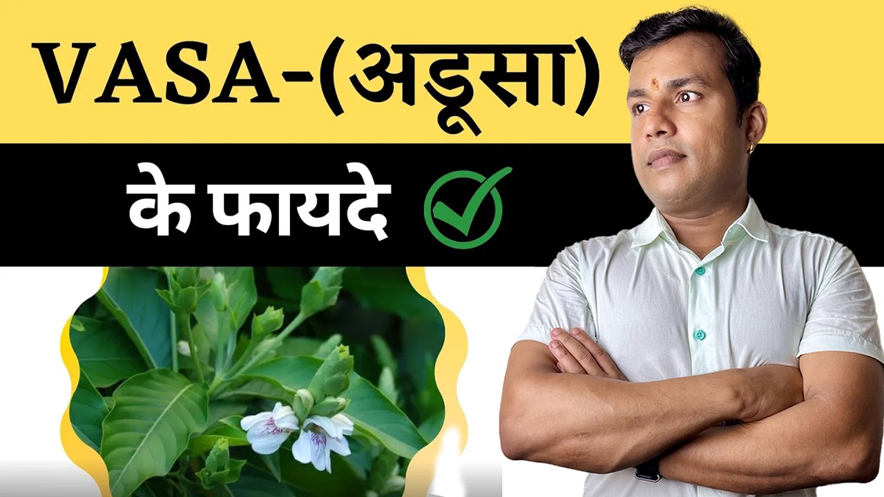 284:Vasa(अडूसा)Blood Ke Liye Duniya Ki Best Dawa|| खून की कोई भी बीमारी हो ये दवा चमत्कारी है