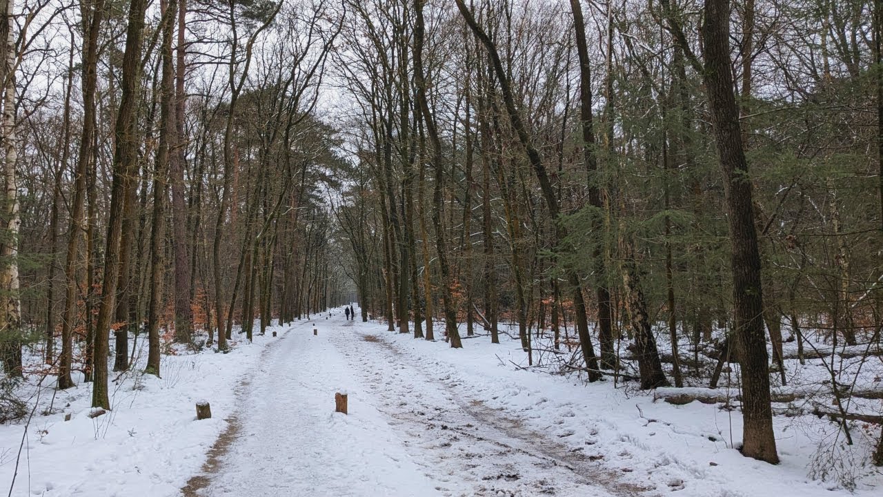 Spanderswoud 11.01.2026
