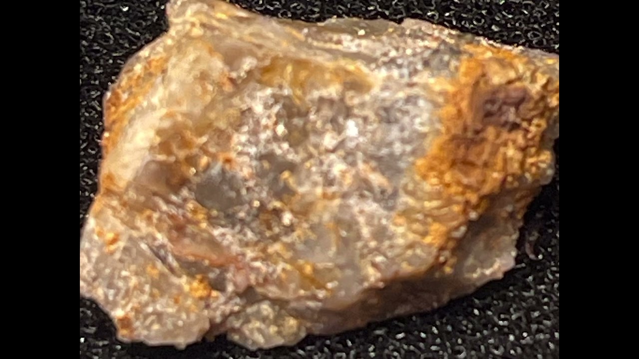 MT Perry Gold_👩‍🦯Gold Monster Gurus Cuz n Cuz