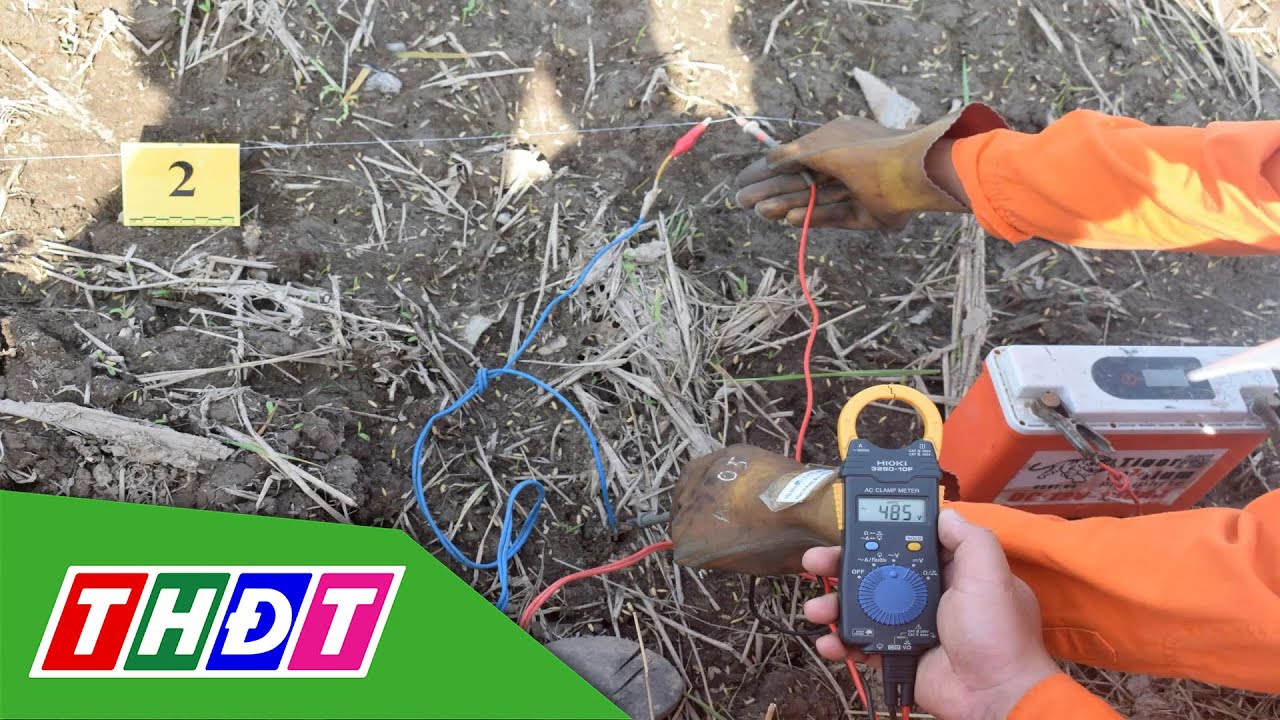 Lại th&ecirc;m &aacute;n mạng từ bẫy chuột bằng điện | THDT
