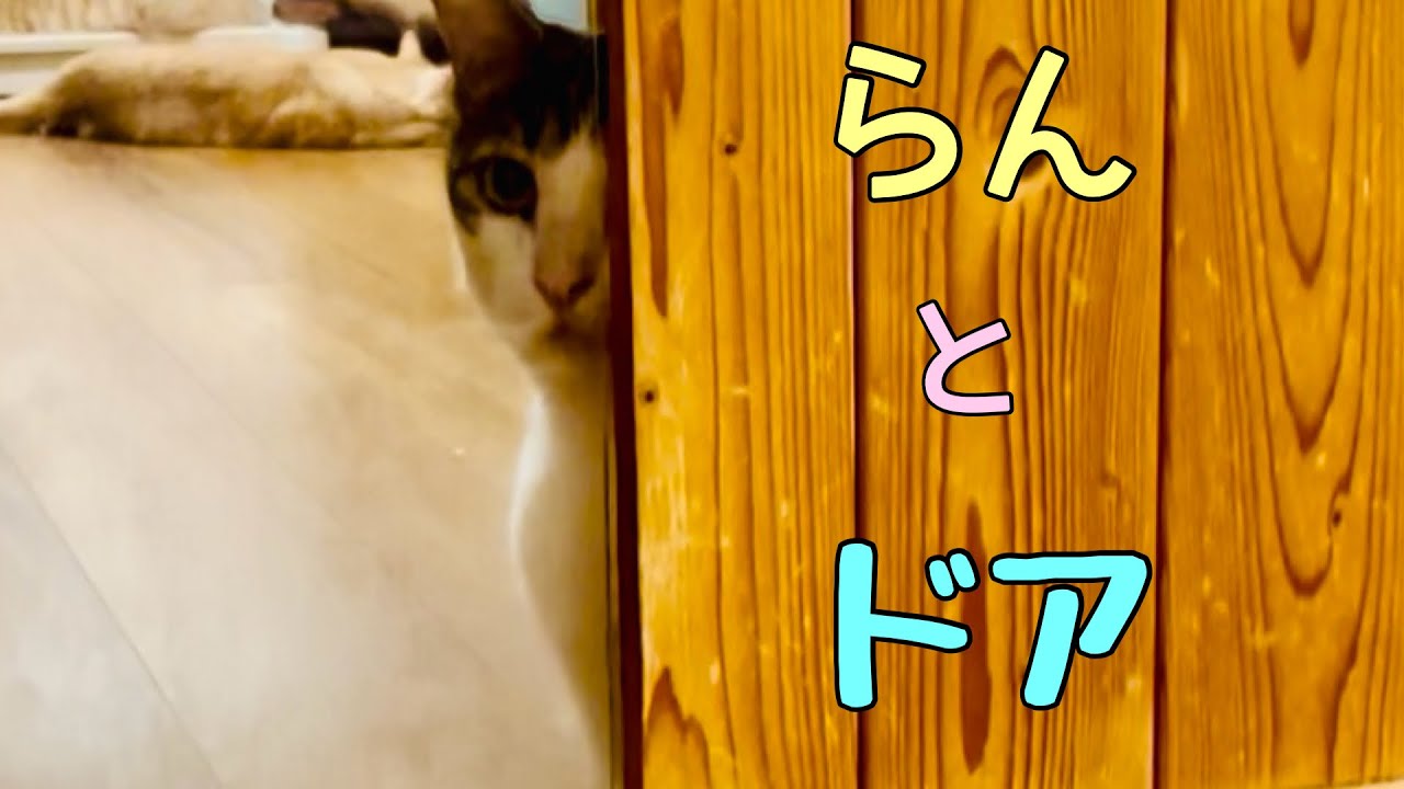 らん　と　ドア