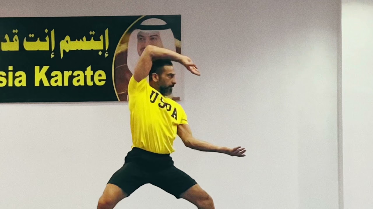 تدريبات كاتا  باساي شو