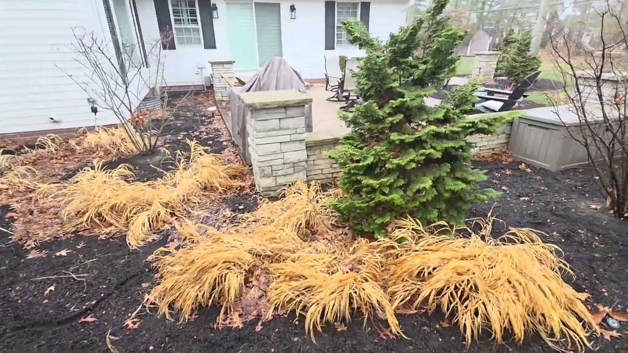 McCrea- SCU/Mulch 