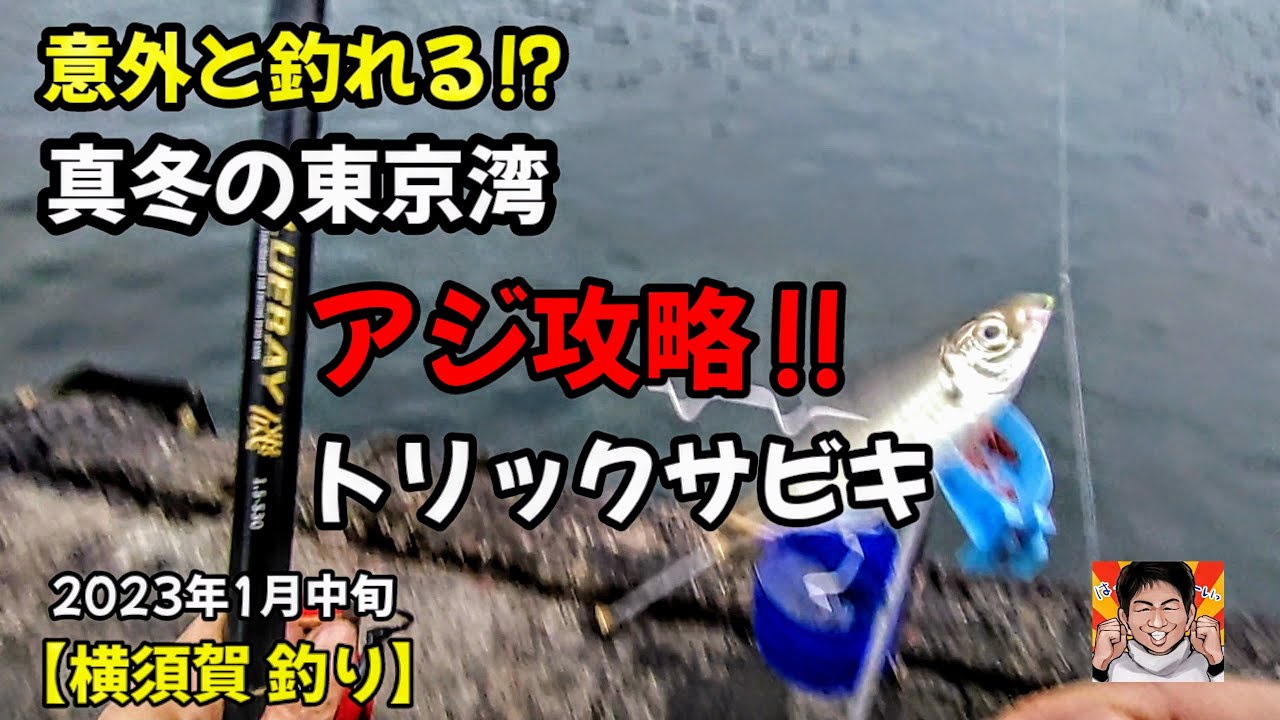 以外と釣れる!?真冬の東京湾、陸っぱりアジ‼サビキ釣りで狙います!!