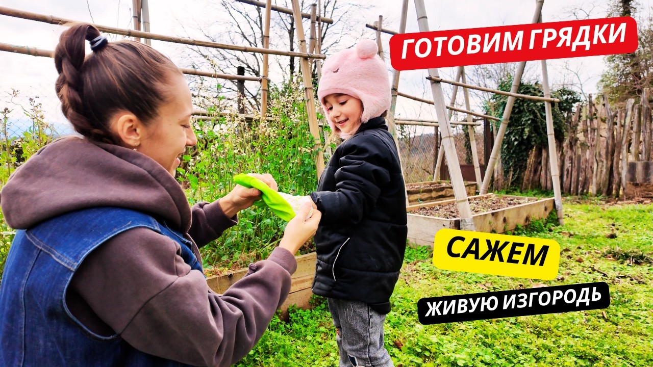 ГОТОВИМ грядки и САЖАЕМ живую изгородь 🌱