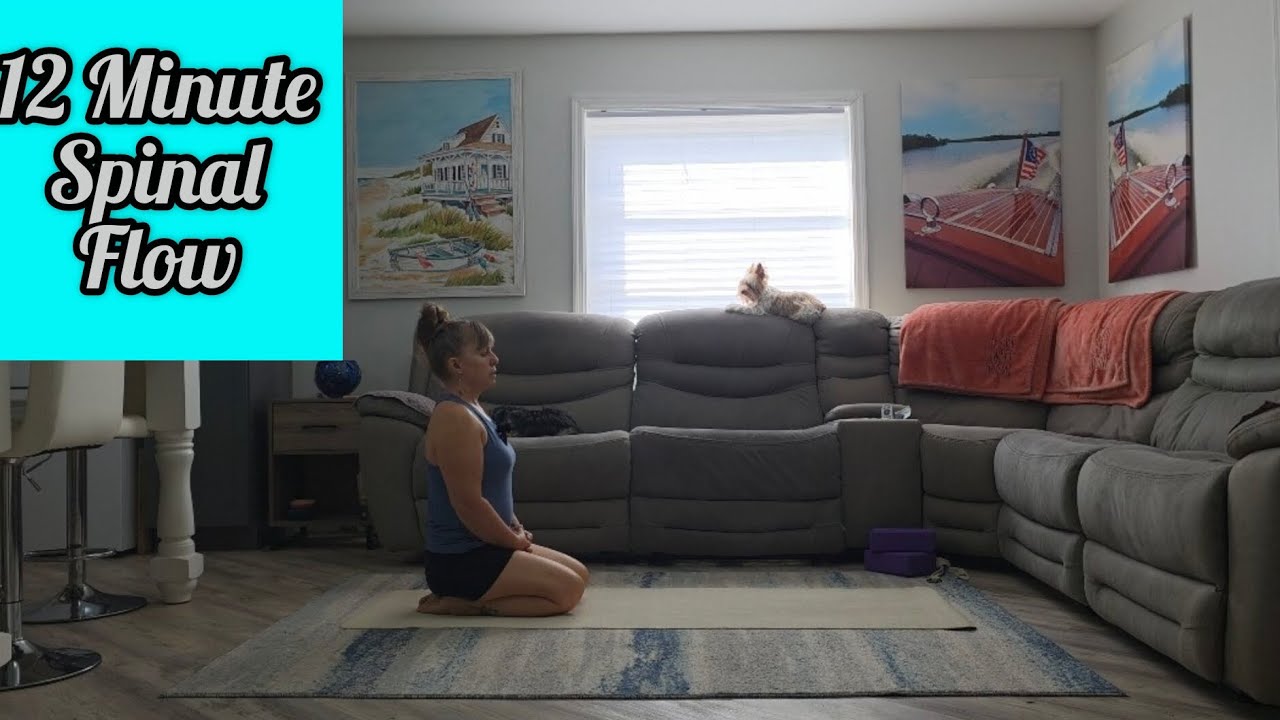 Gentle Beginner Yoga Flow for the Back//12 Minute Spinal Flow