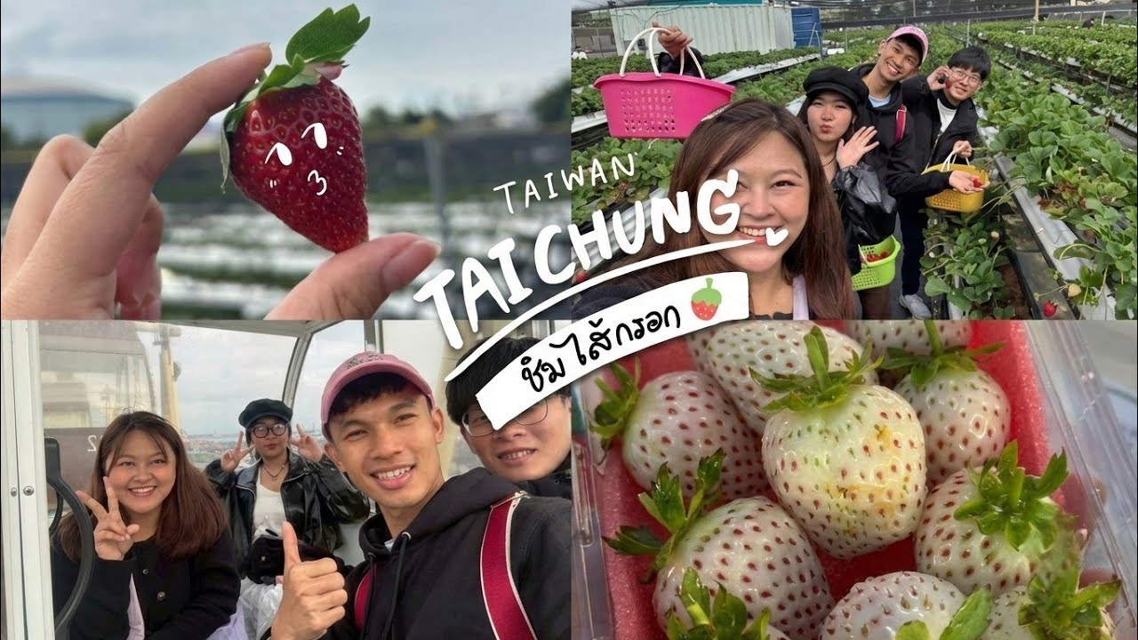 ไถจงหวานมากกก 🍓✨ 🇹🇼｜ไส้กรอกสตรอว์เบอร์รี 草莓世界, กินเนื้อแกะครั้งแรก, นั่งชิงช้าสวรรค์