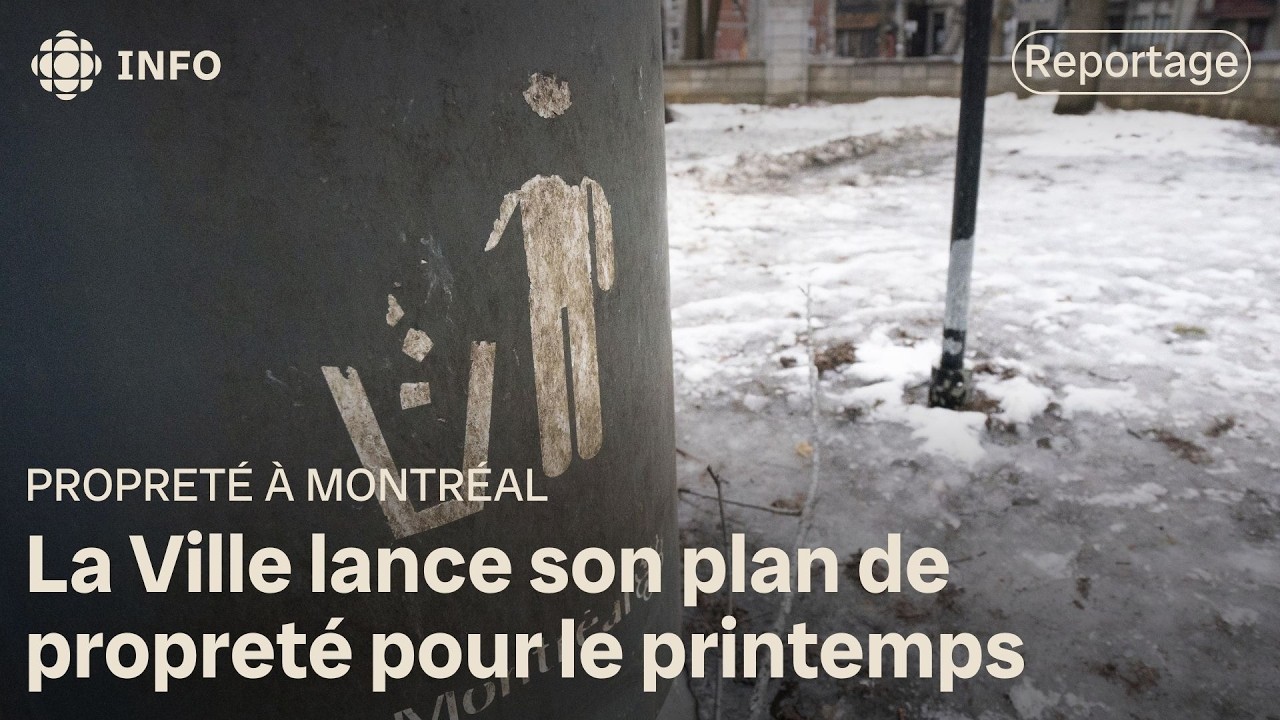 Des déchets partout dans la métropole, à qui la faute?