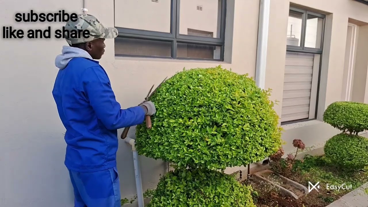 Tuesday morning at work 