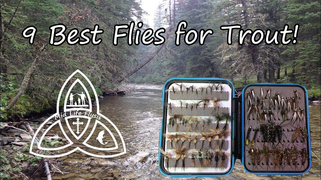 9 Best Trout Flies