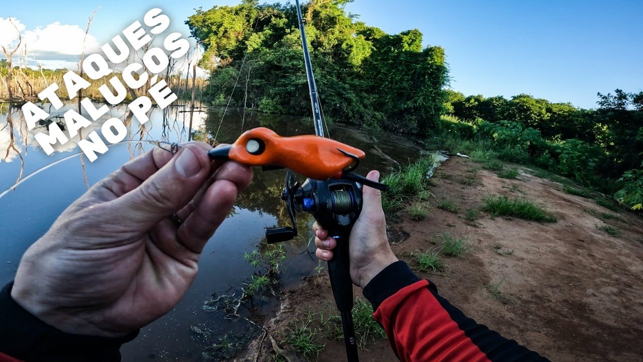 AGUA SUJA E ATAQUES MALUCOS! Pesca de trairas com frog