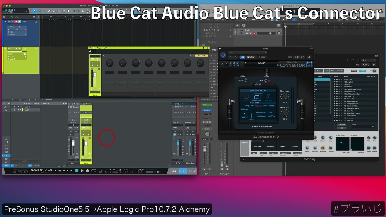 Blue Cat Audio Blue Cat's Connector