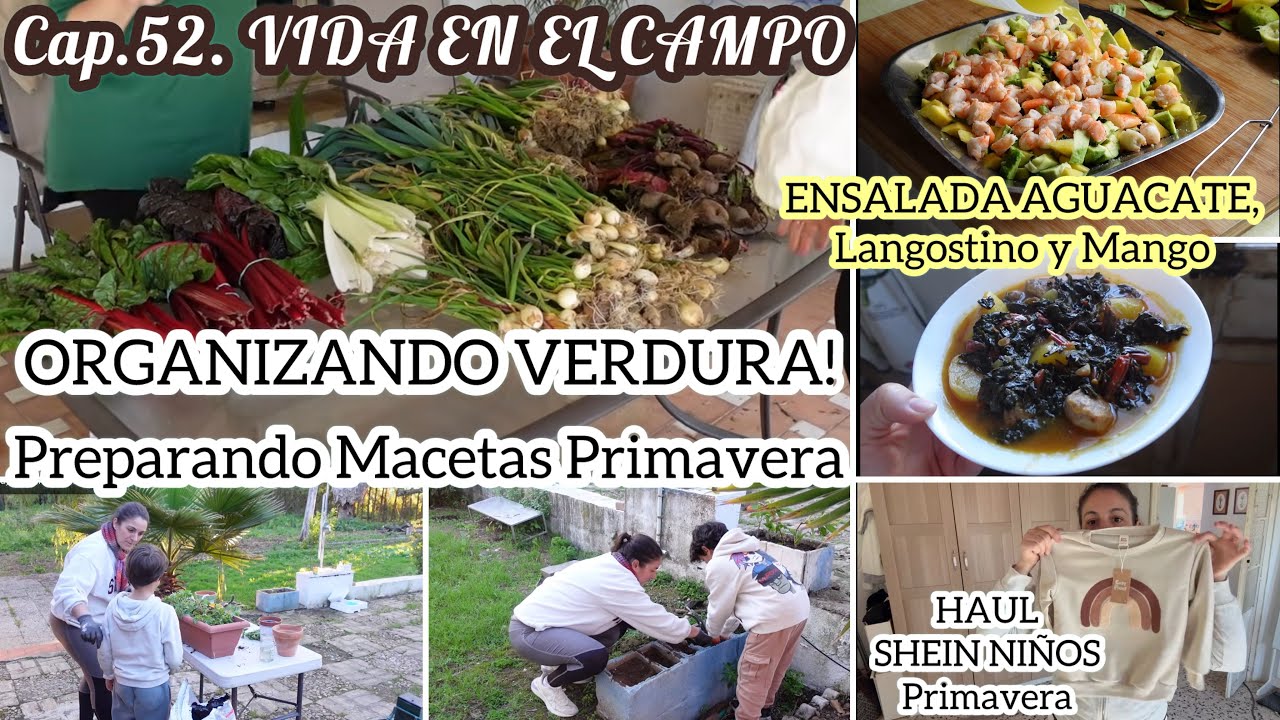 💚Cap.52 VIDA en el CAMPO con NIÑOS/🌱VERDURA y ORGANIZACIÓN/JARDINERIA/ENSALADA ESPECIAL/SHEIN Kids