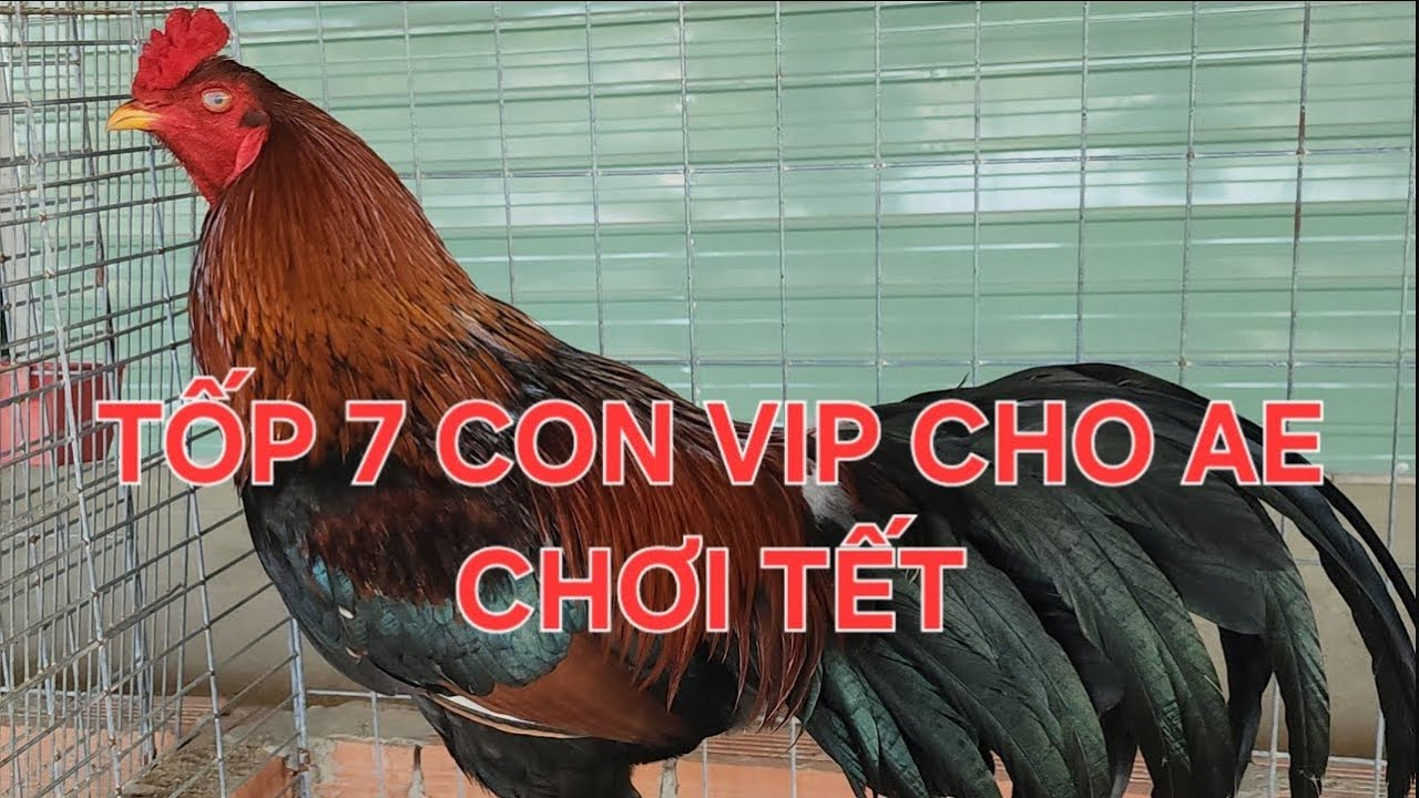CHUYẾN ĐI ĐĂK NÔNG...( NGÀY 02/02/2026 )