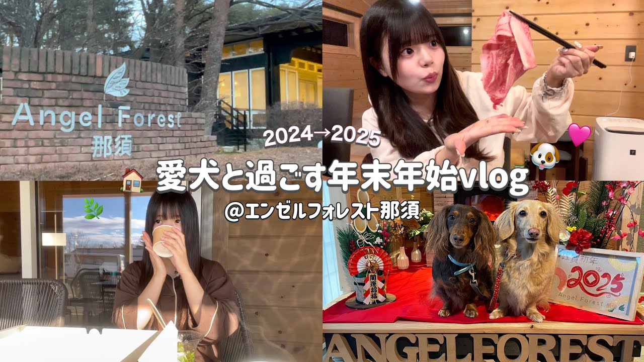 【vlog】那須/愛犬と泊まれる宿で過ごす年末年始が幸せすぎた🐶💞♨️