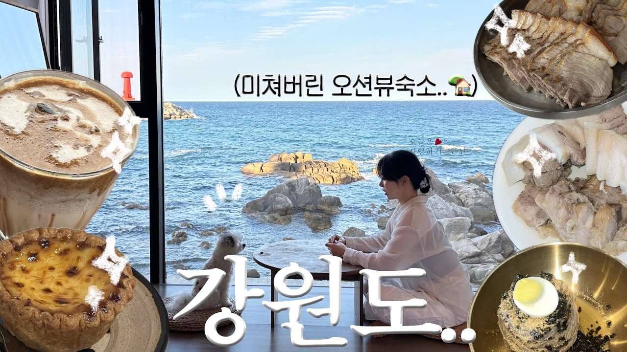 ⚠️배터짐주의. 강원도여행 브이로그(고성,속초,양양)+인생 맛집, 오션뷰 숙소, 반려견동반코스
