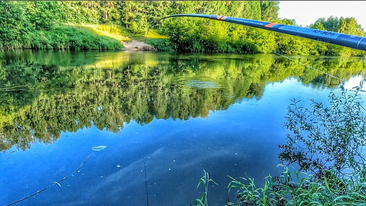 5 МИНУТ БОРЬБЫ С ГИГАНТОМ И МОРЕ АДРЕНАЛИНА!РЫБАЛКА НА ПОПЛАВОК У ДОМА!🎣