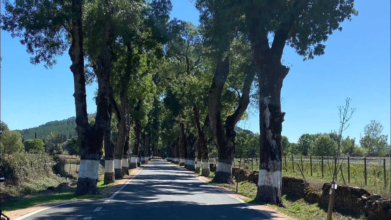 Na Rota, sem destino … 🇪🇸 Espanha