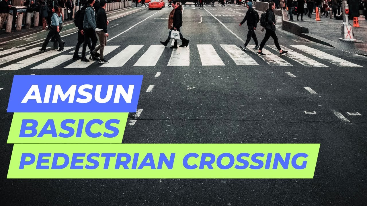 Учебное пособие Aimsun — Пешеходный переход / Зебра