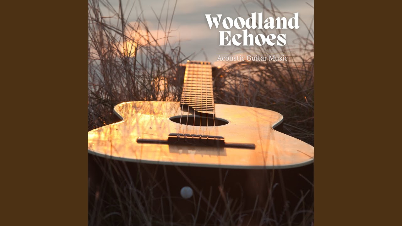 Acoustic Bass Beauty