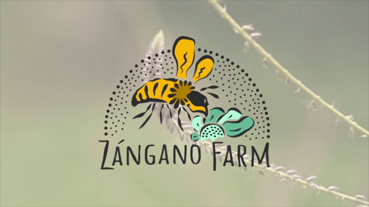 Zangano Farm , Natural Beekeeping Workshop Trailer