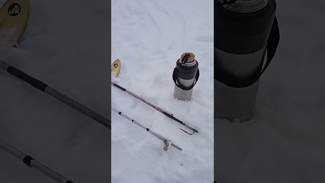 Жерлица автомат Вашина 01.2024