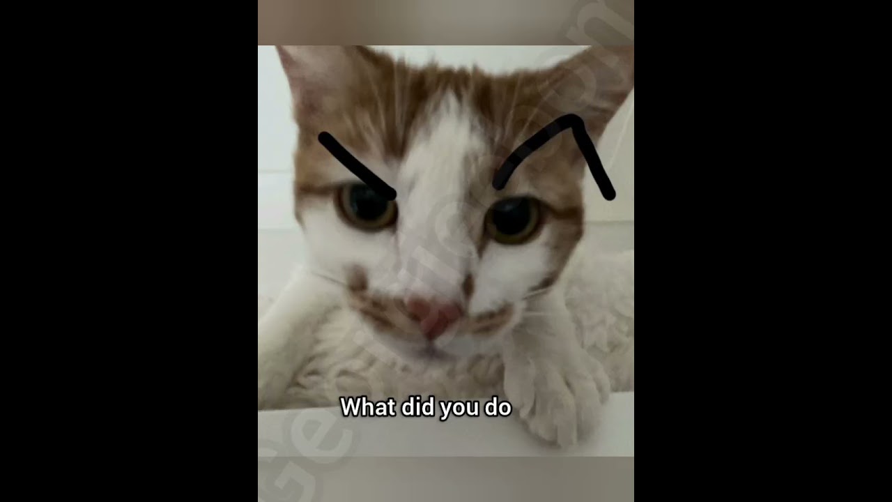 Will you help me hide it? 