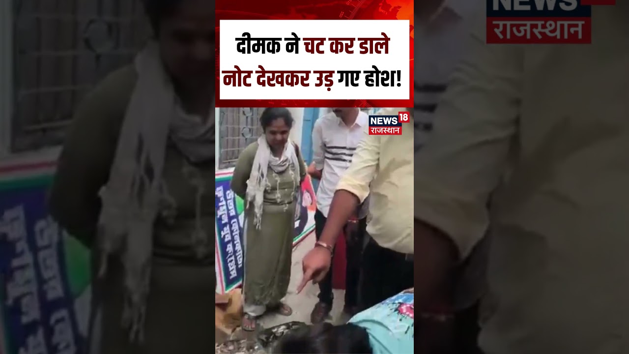 Viral Cash Video :दीमक ने चट कर डाले नोट देखकर उड़ गए होश ! | N18S | Viral | Cash | Top News |