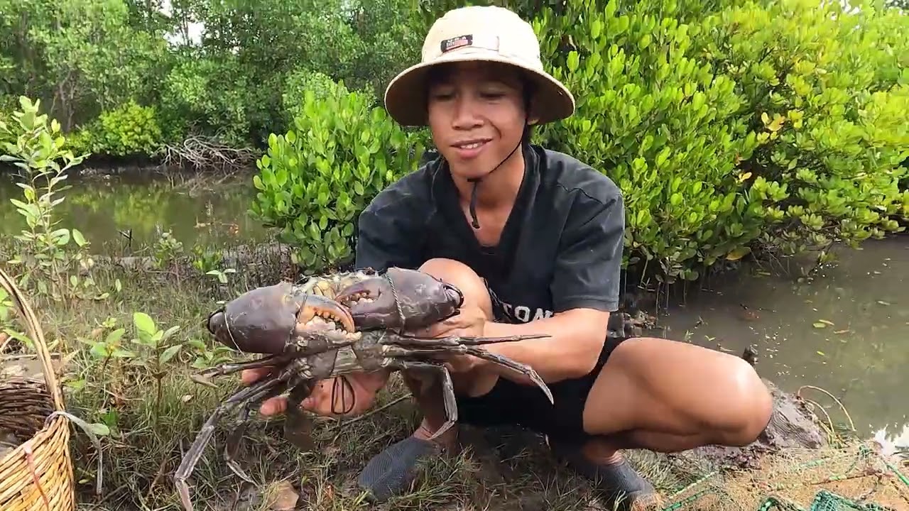 looking cool trapping crabs in the river