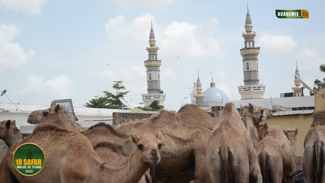 Magal Touba 2020: Darou Minane