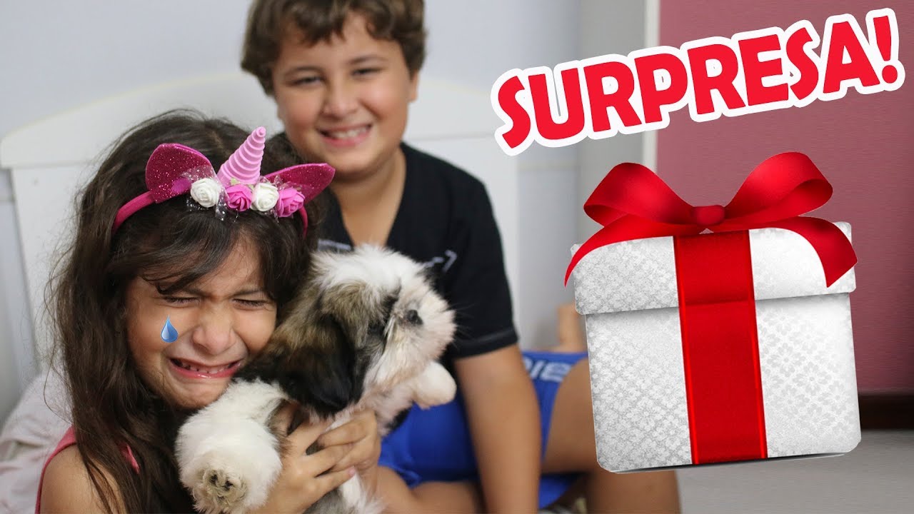 GANHEI O MELHOR PRESENTE DE TODOS!