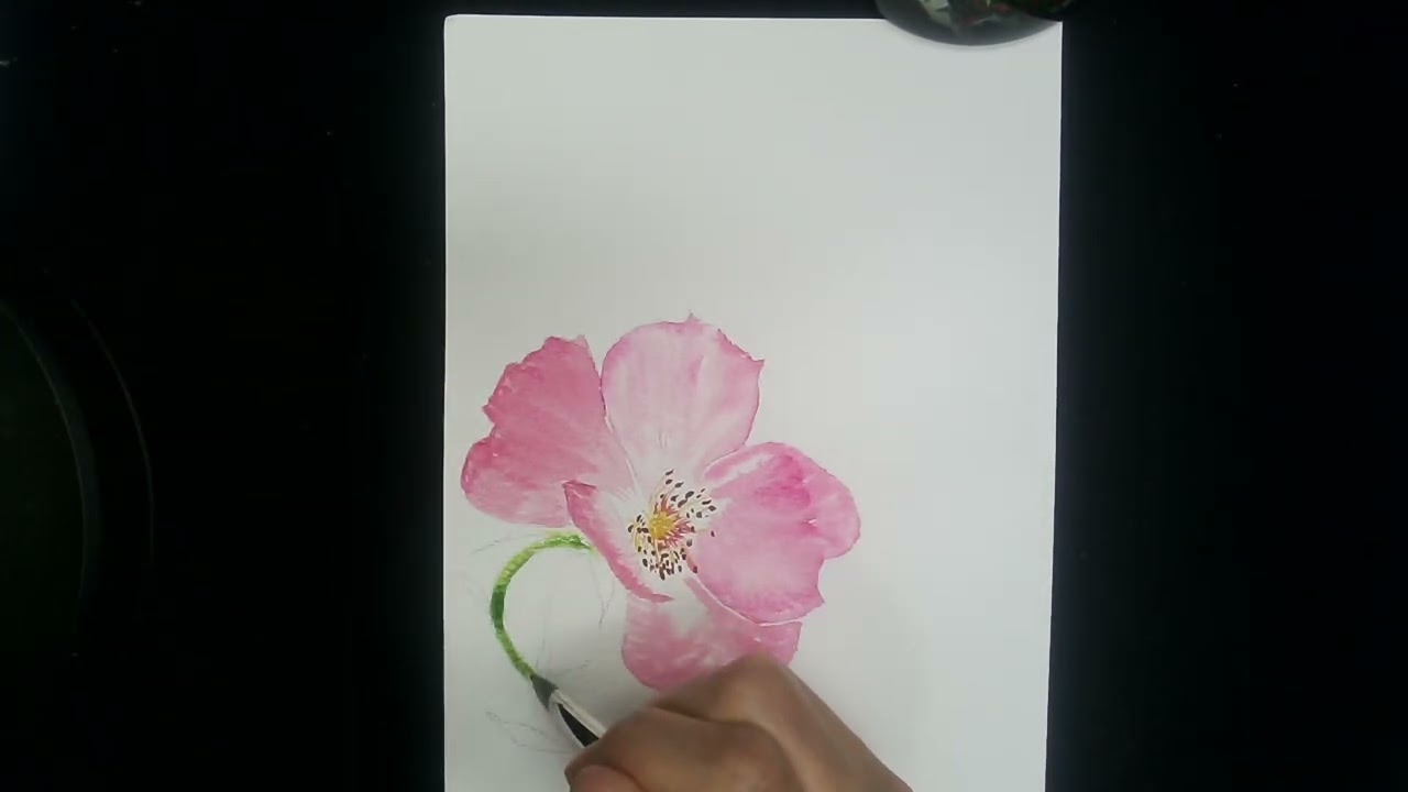 Drawing flower EP 191 #postcard #koreancalligraphy #수채캘리그라피 #그림 #봄 #꽃그림 #봄문구
