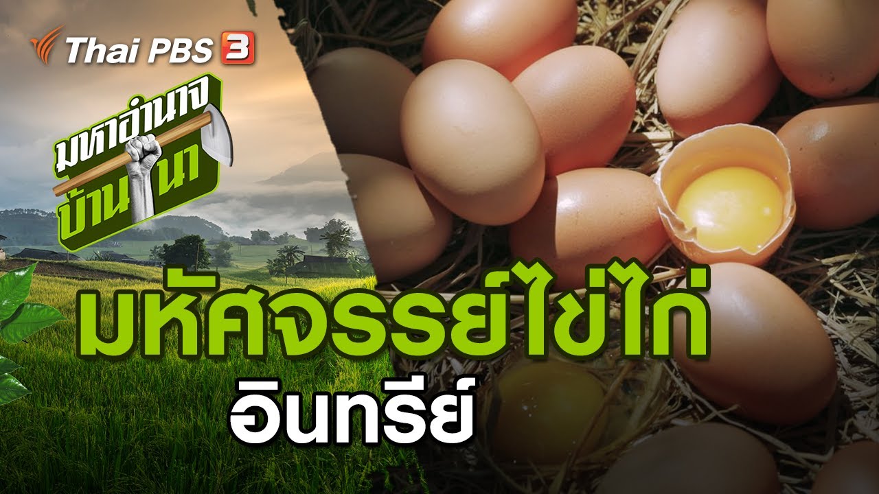 มหัศจรรย์ไข่ไก่ : มหาอำนาจบ้านนา (19 ก.ค. 63)