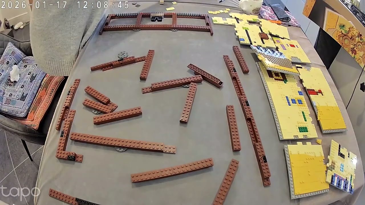 Lego Van Gogh - Sunflowers - timelapse build (Jackie)