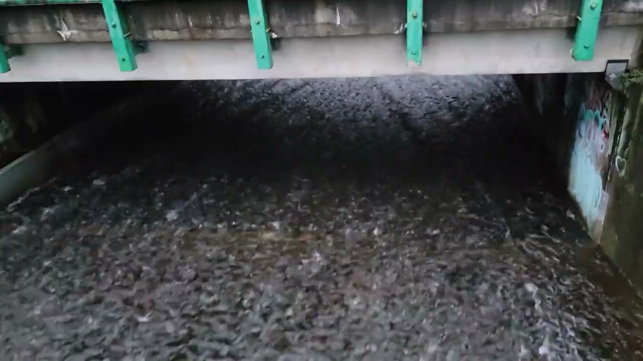 💤🛌Lake of the Woods Dam   water over the dam