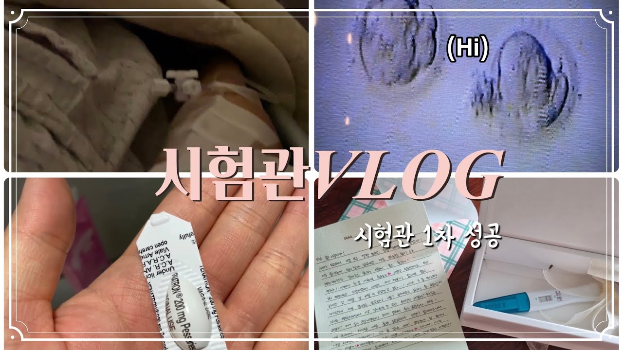 [시험관VLOG] 30대 난임부부 | 난자채취 | 3일배양 신선이식 | 시험관 1차성공