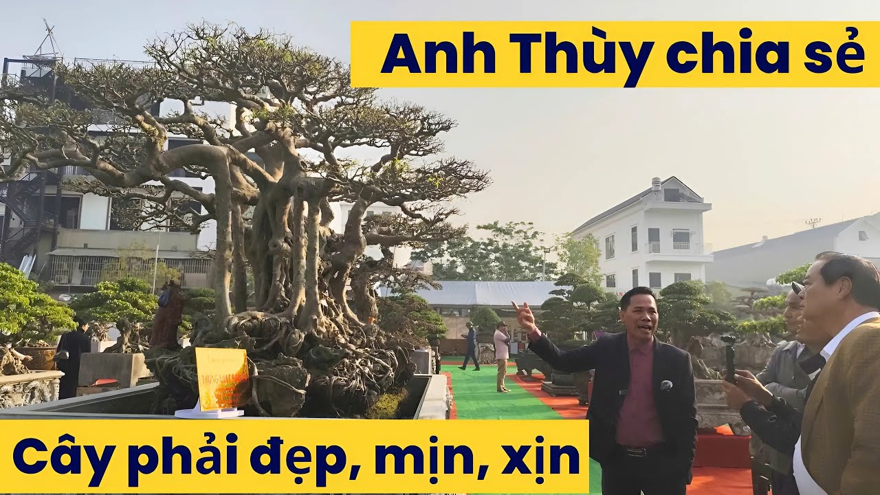 Anh Thùy Hải Phòng chia sẻ cây đẹp tại Triển lãm