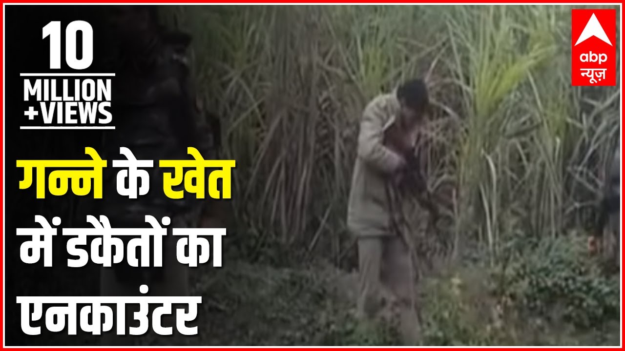LIVE ENCOUNTER: Ghaziabad police besiege dacoits in a sugarcane field, open fire