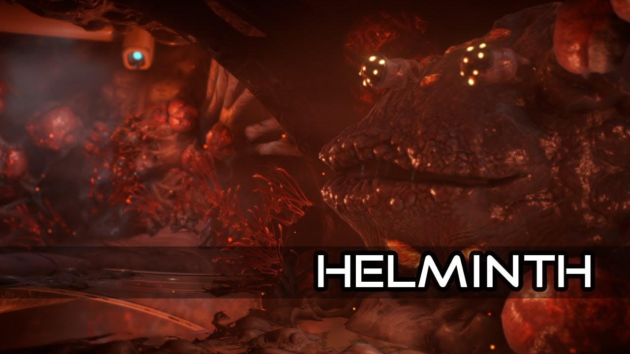 Le Helminth (Bases) - Warframe [FR]