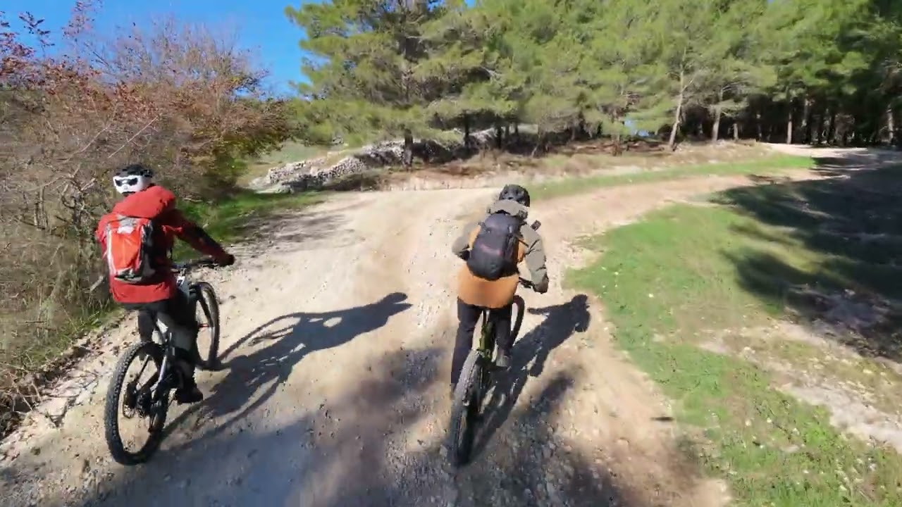 DJI Neo 2 davvero evita gli ostacoli? A quanto pare si!