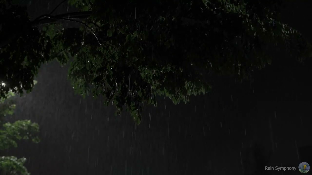 Night Rain Sounds for Deep Sleep and Relaxation – Calm Rain Ambience, No Ads
