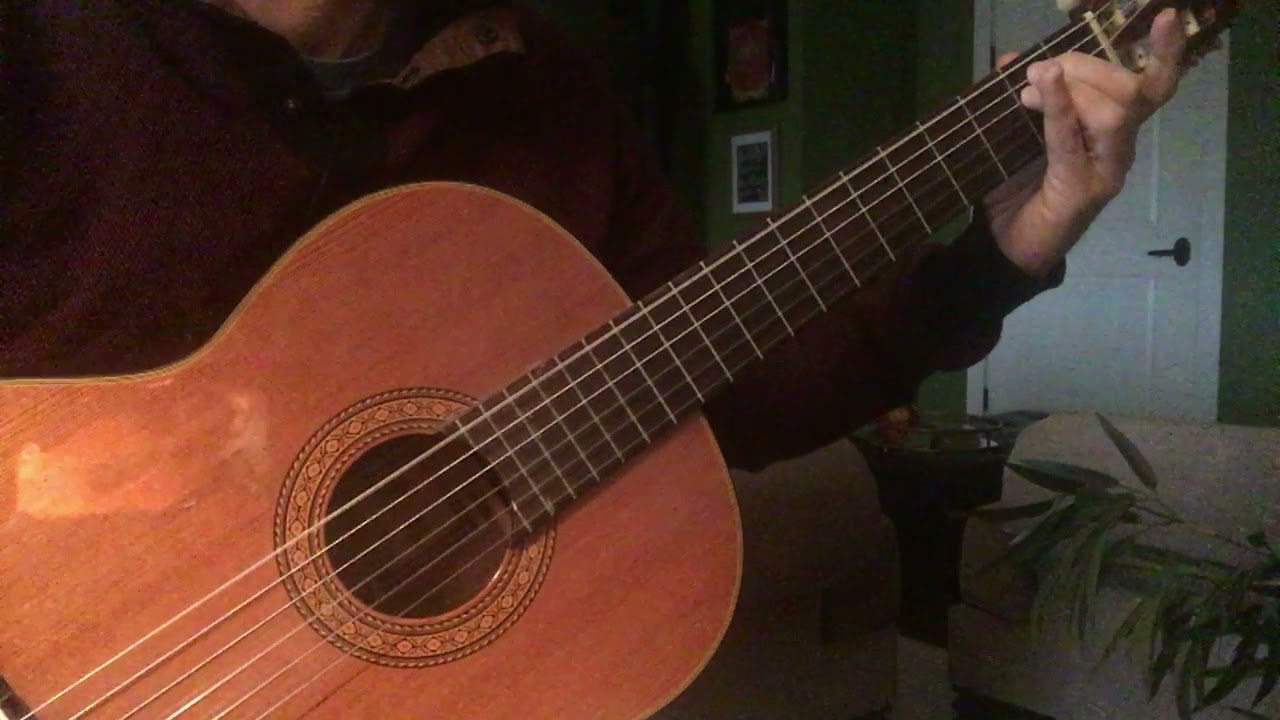 Leyendo en el Hospital - Gustavo Santaolalla guitar by Zender