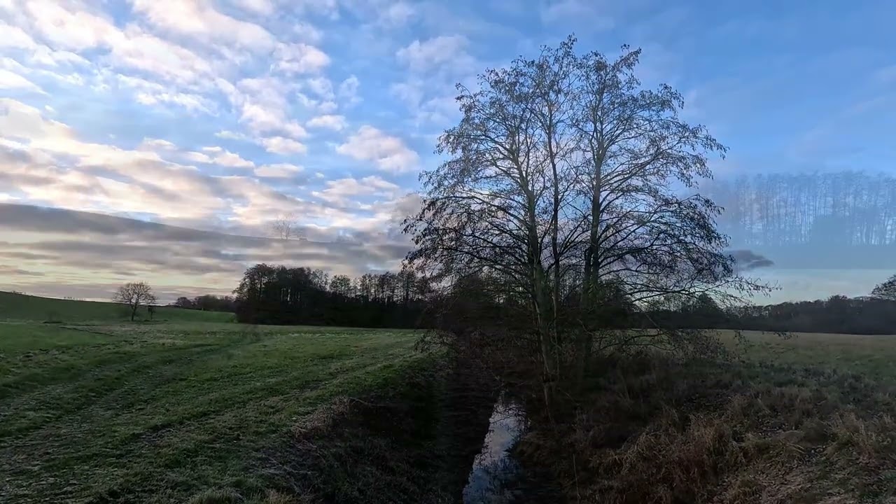 A frosty morning at the meadows over the lakes
